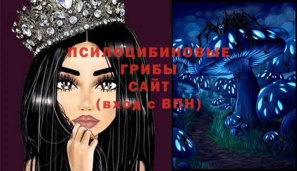 прущие грибы Абдулино
