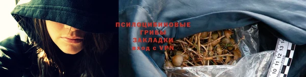 прущие грибы Абдулино