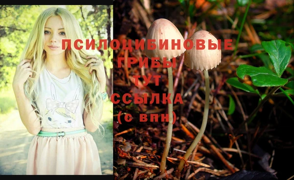 прущие грибы Абдулино