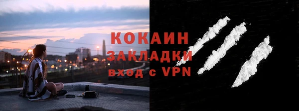 прущие грибы Абдулино