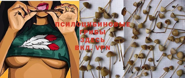 прущая мука Абаза